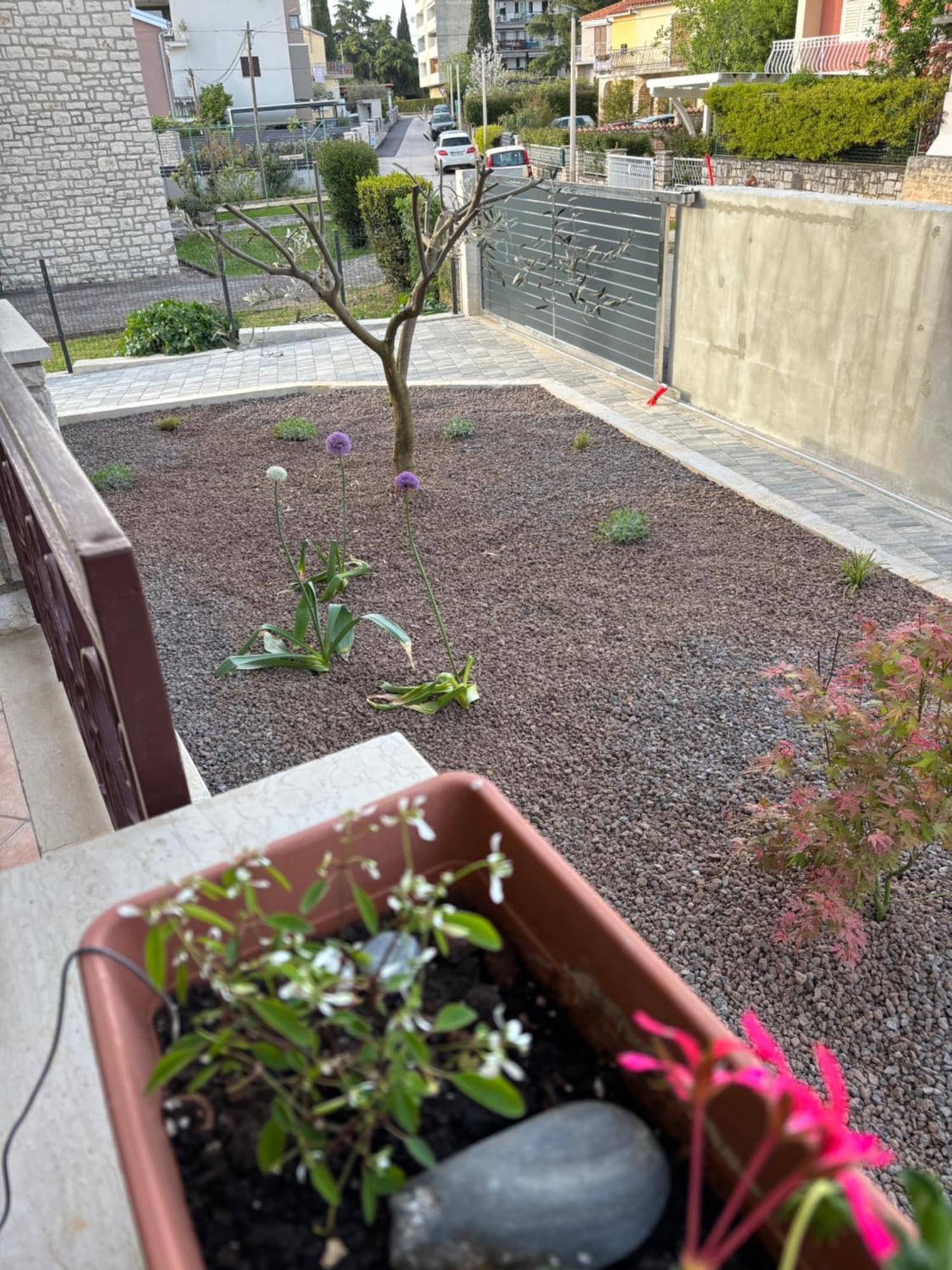 Apartmani Darko Rovinj Luaran gambar